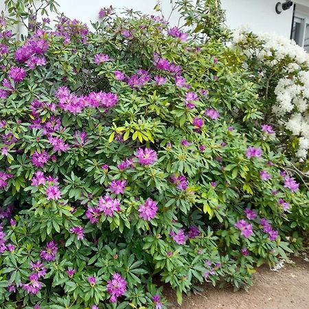Les Abelias Bed & Breakfast Hauterive  Exterior photo
