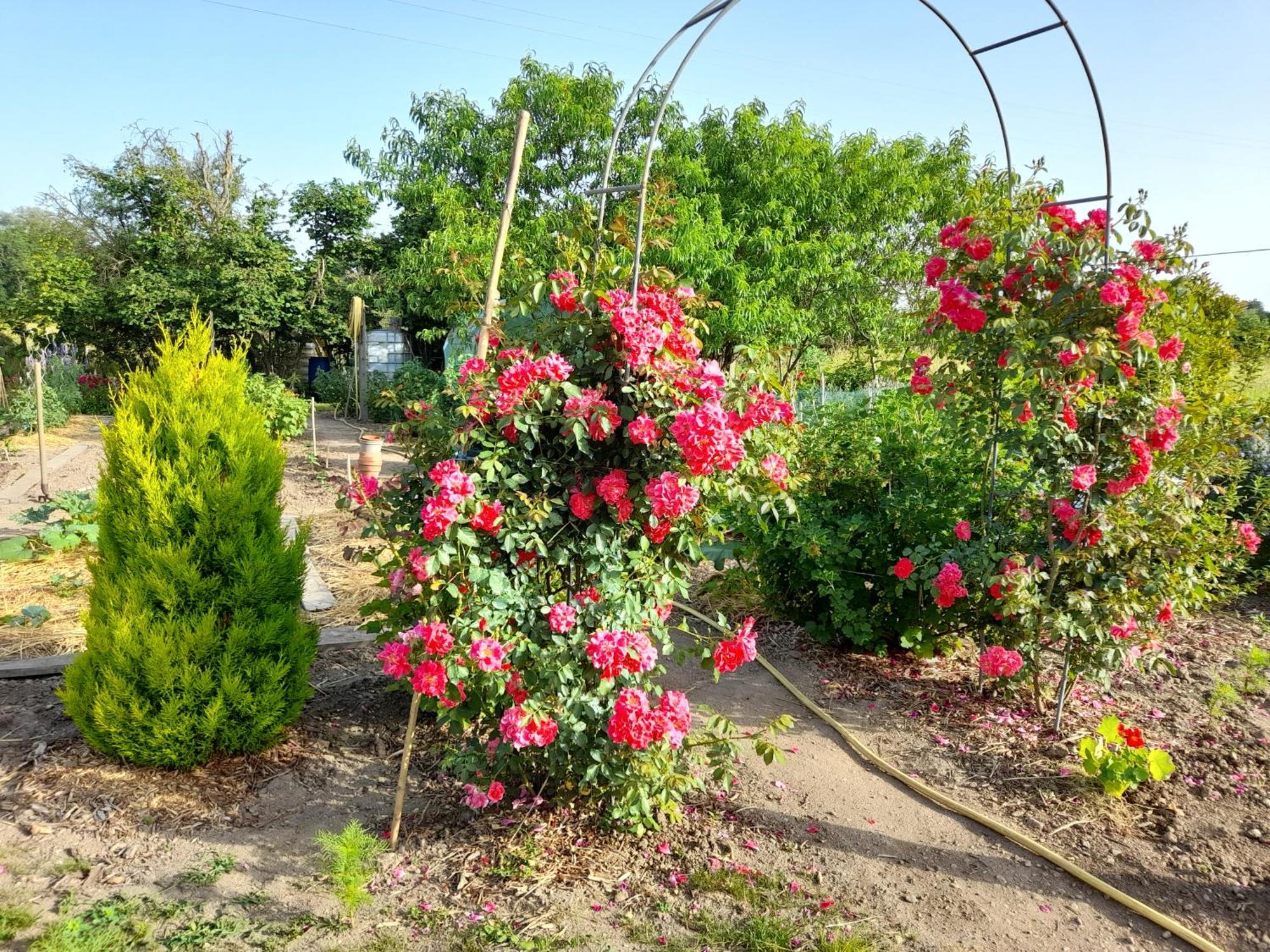 Les Abelias Bed & Breakfast Hauterive  Exterior photo