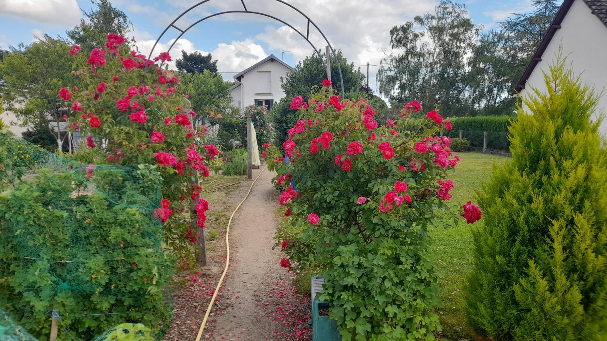 Les Abelias Bed & Breakfast Hauterive  Exterior photo